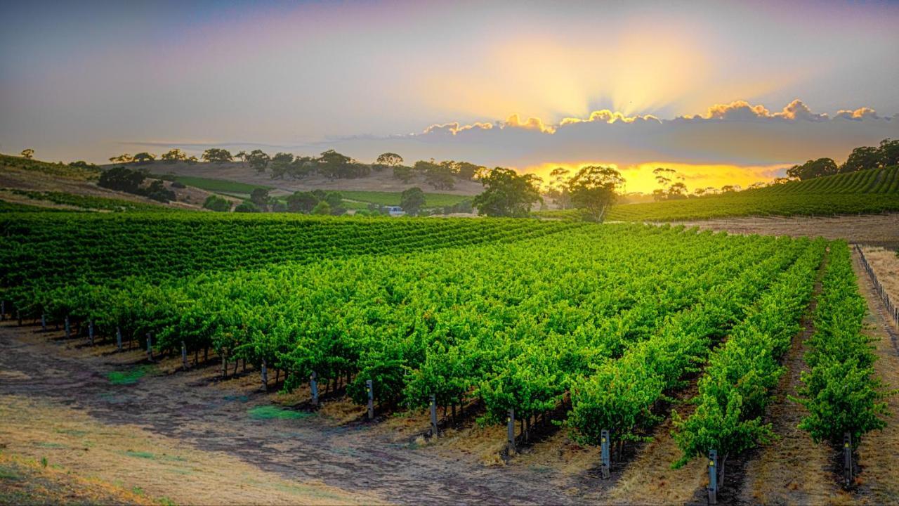 Triple Creek Guest House - Barossa Region Seppeltsfield Zewnętrze zdjęcie