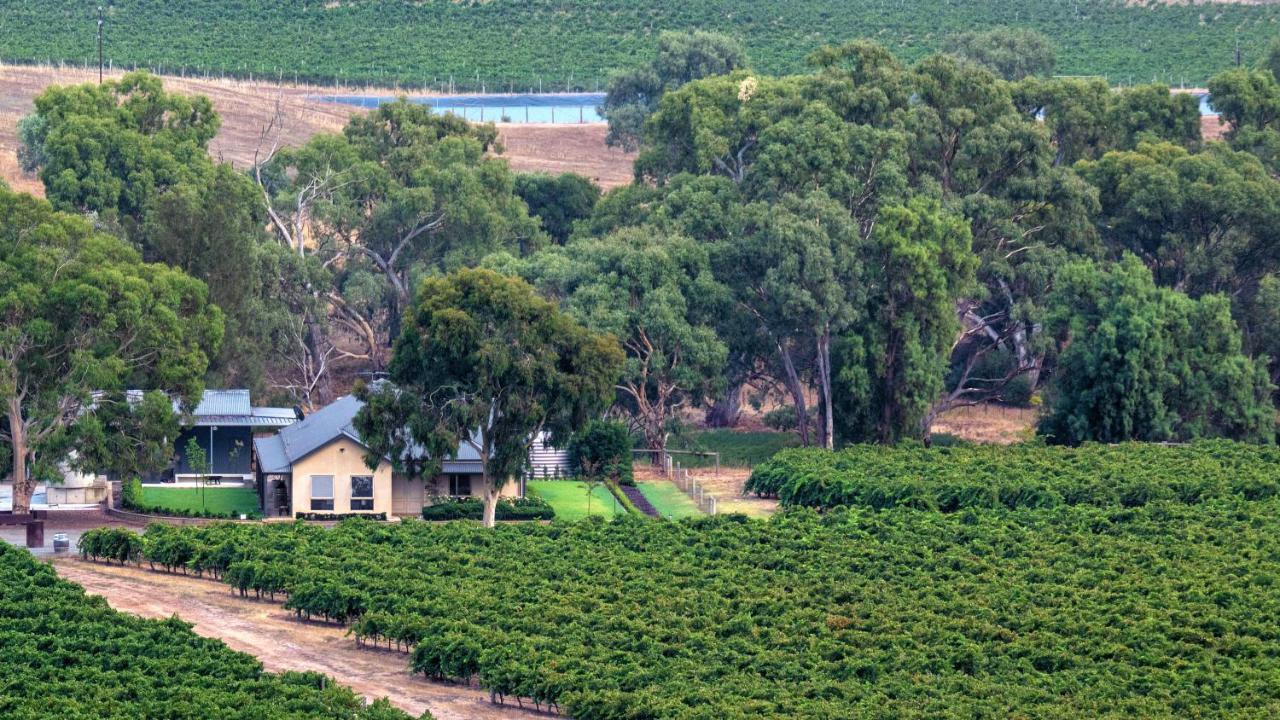 Triple Creek Guest House - Barossa Region Seppeltsfield Zewnętrze zdjęcie